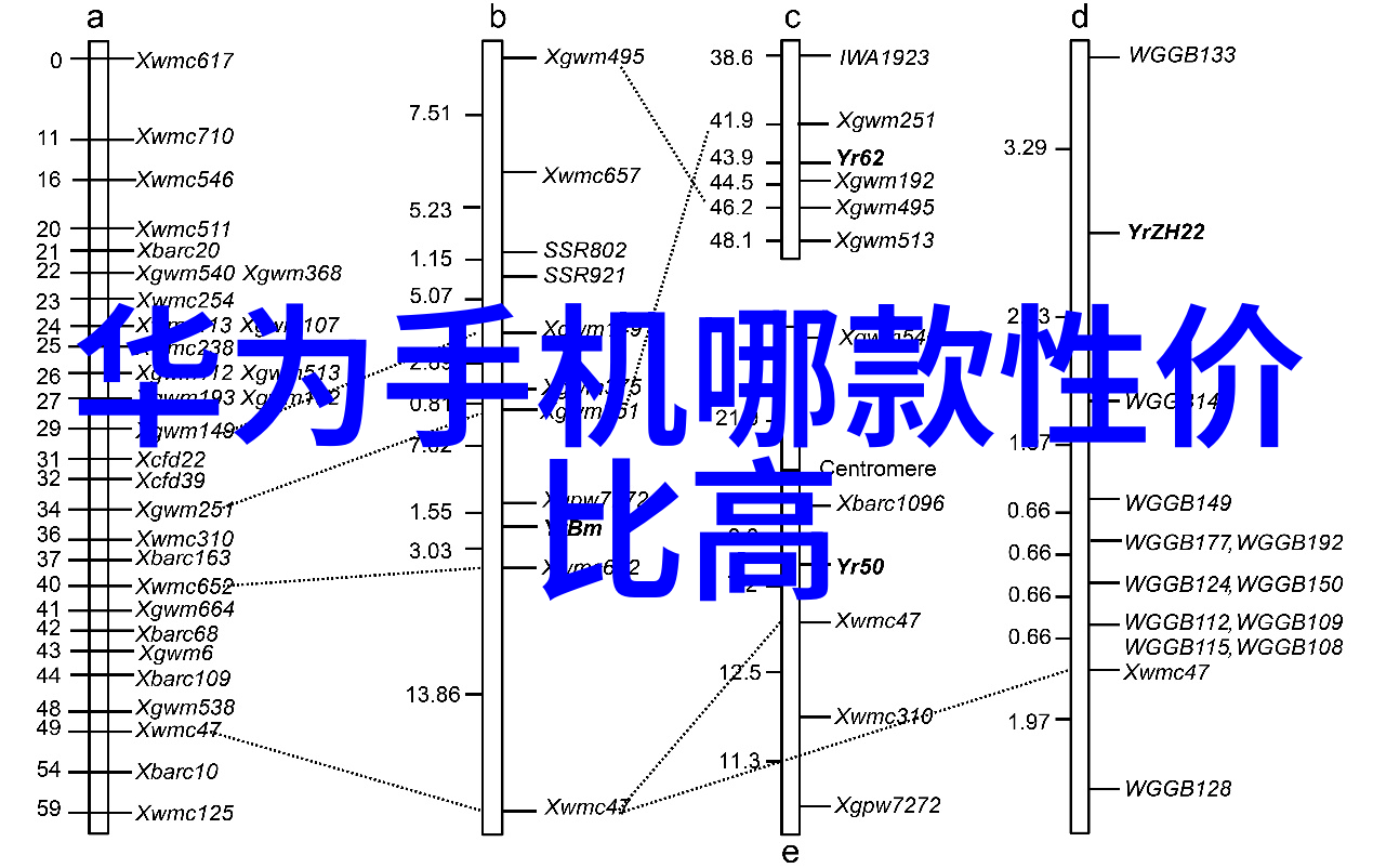在家庭用水系统中PPR和PE管材各有什么优势