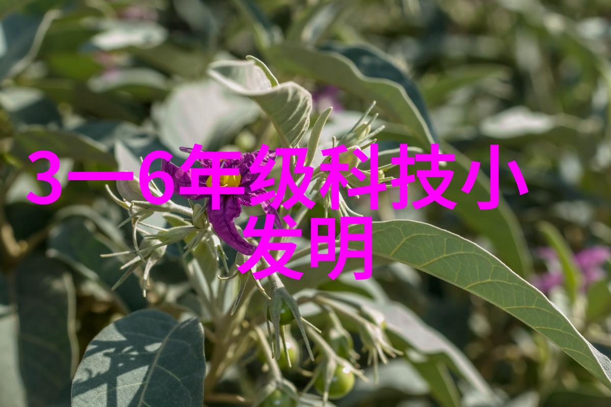 旋转蒸发仪原理与工作机制