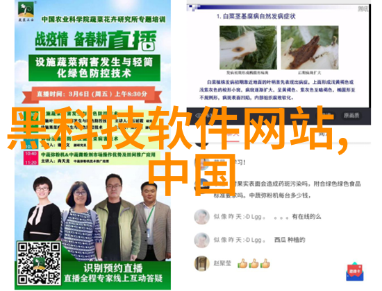 生活小技巧我是怎么用T型波纹填料让家里的装修瞬间变得时尚又实用