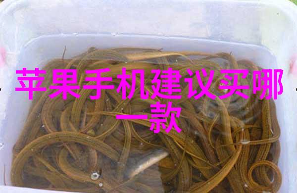 空调散热器铜铝分离机-高效节能的冷媒回收解决方案