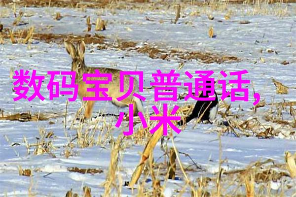 激光驱动的高效杀菌系统探索等离子灭菌器的未来发展