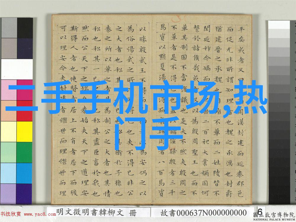 高效清洁解决方案水洗机设备的应用与优势