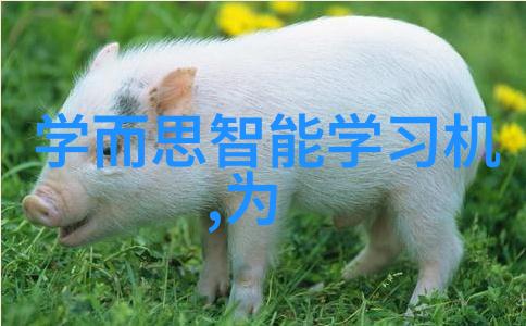 家居美学全解析最新家装效果图片赏析