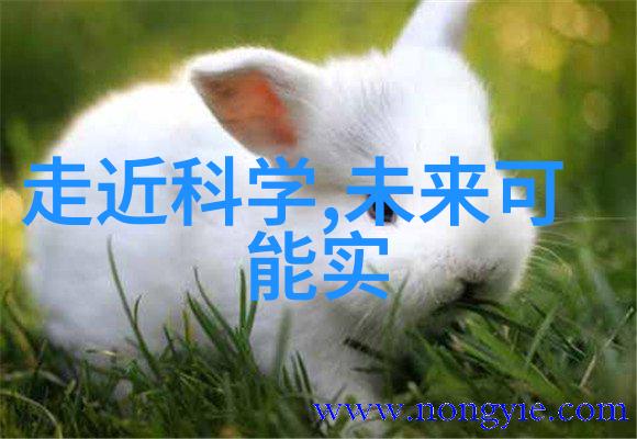 建筑物外墙使用金属丝网波纹规整填料抗风噪效果评估