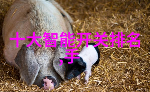 井水检测价格查询
