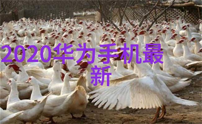 低温等离子灭菌器在医疗消毒中的应用探究