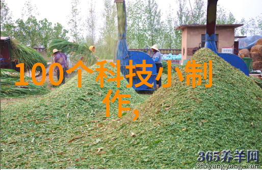 药剂之轮胶囊剂机械的精妙构造与运作