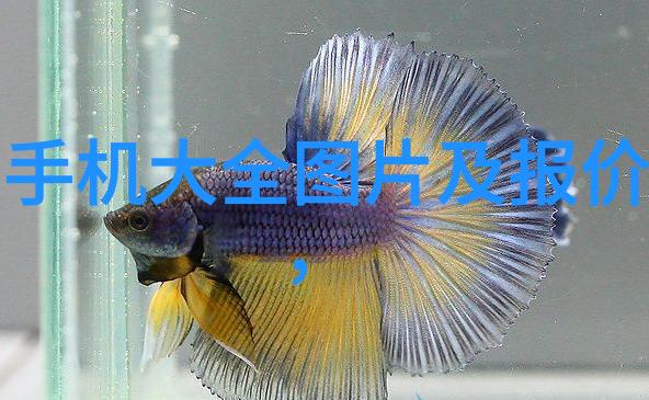 江苏财经职业技术学院追梦者在校园里的征程