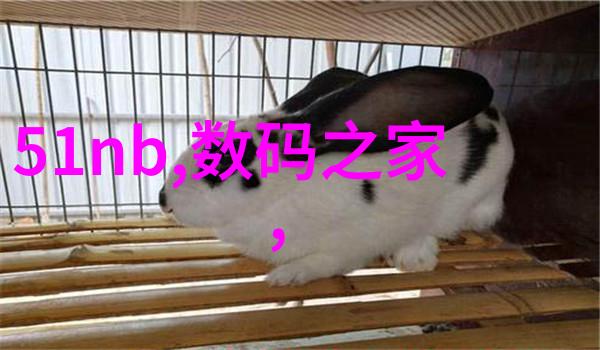 塑料分离器-环境友好型垃圾处理的新希望如何高效利用塑料分离器提升资源回收率