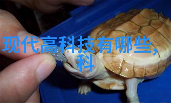 主题我来帮你看看这scr反应器结构示意图吧