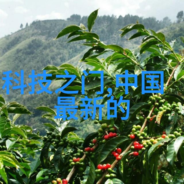 免费软件女生越说疼男生越往里
