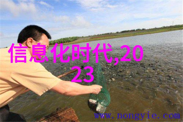 如何对不同介质进行有效去除和分离使用不同的除沫填料技术
