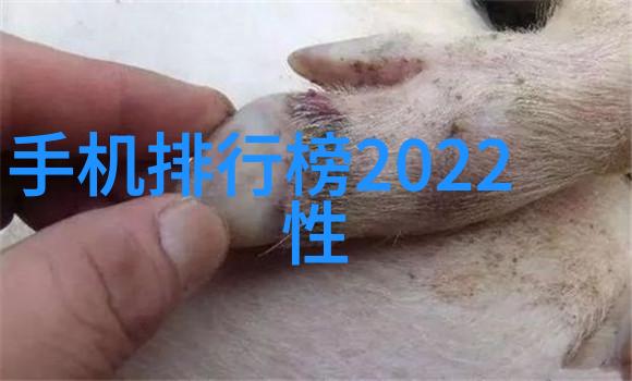 骗局揭秘-tds笔背后的诱惑与欺骗一场高科技的骗局