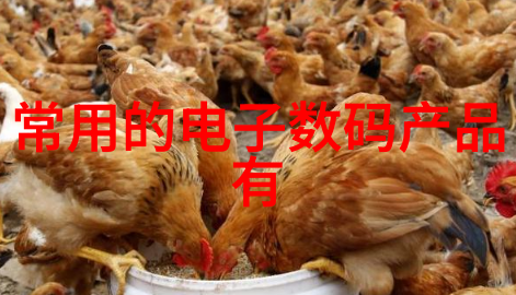 电蒸汽发生器-电力驱动的蒸汽革命揭秘电蒸汽发生器的工作原理与应用前景