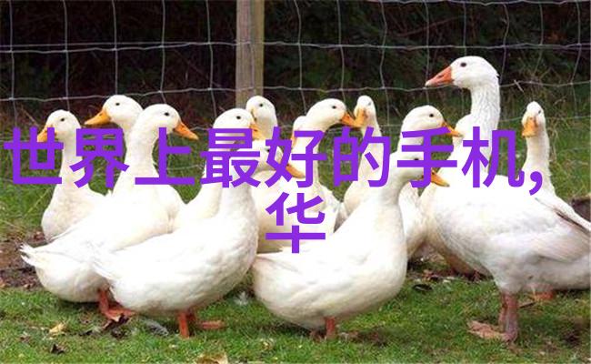 不锈钢背后的秘密陶瓷填料的神秘面纱