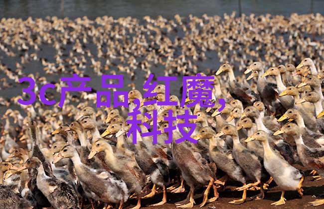 智能选择解锁安卓官方应用商店的秘密下载技巧