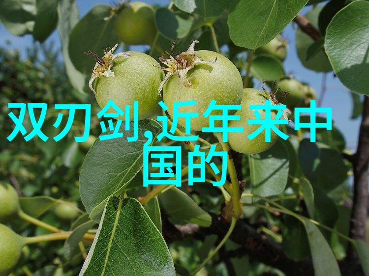 不锈钢喷头我的厨房的智慧之选