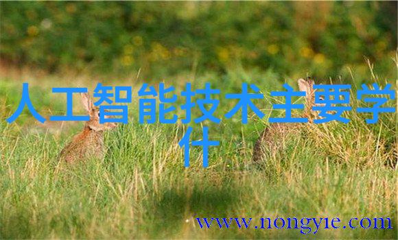 河源职业技术学院培育未来技能人才的摇篮