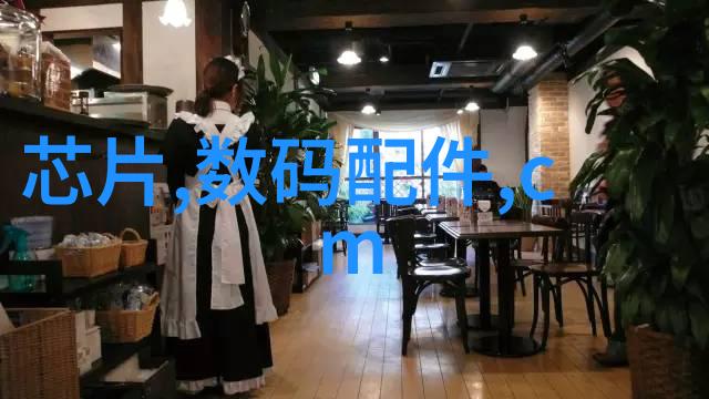 我和我的树脂井盖
