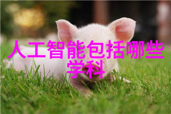 当我们谈论可替换性时我们是在讨论的是物理上还是功能上的可交换性呢