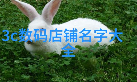 苹果秋季新品发布会我亲眼见证的科技奇迹iPhone 13 系列震撼亮相