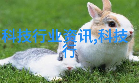厨房装修效果图我的梦想厨房现身