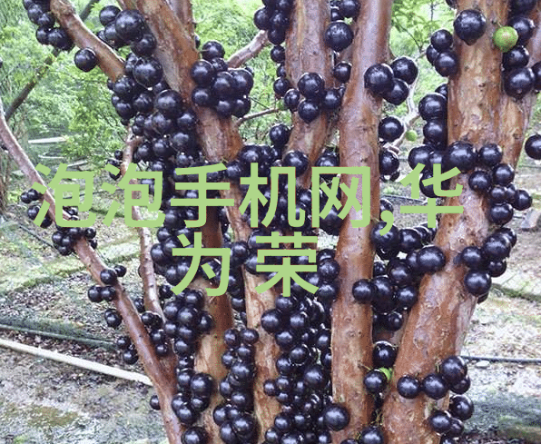 医用等离子空气消毒机行业发展趋势分析
