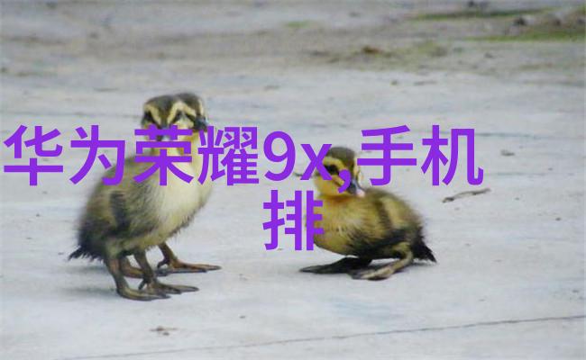 卫生间私家装修从梦想到现实的设计之旅