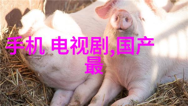 智能终端的个人信息管理策略研究