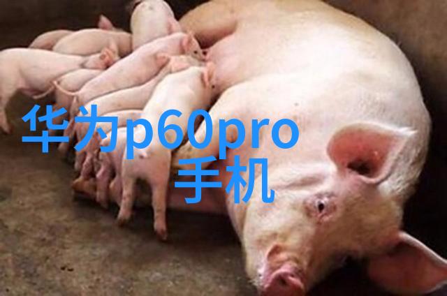 污水废水处理技术革新带来的绿色未来
