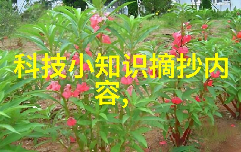 波纹之韵重量的轻盈舞蹈
