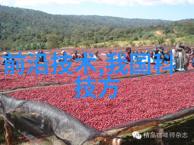 全自动立式高压灭菌锅智能厨房设备安全卫生保鲜