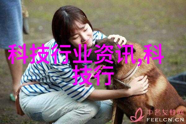 九洲揭秘东方希望包头稀土铝业背后的嵌入式技术之谜