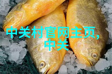 宁波财经学院金钱的学堂与梦想的港湾