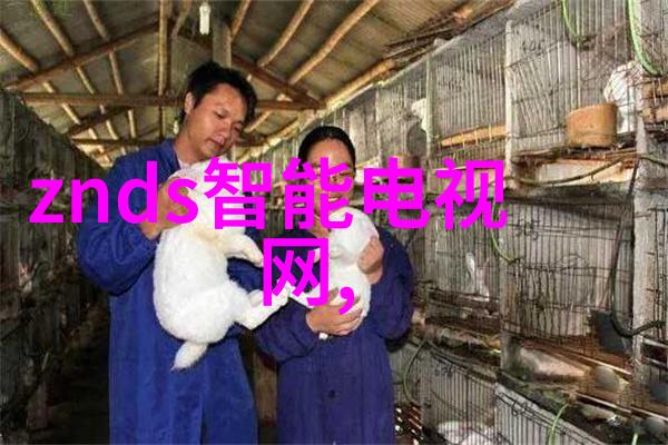 在实际工作中如何将学到的装饰理念应用于项目中
