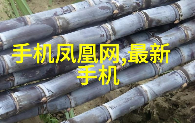 关于请求拨款的请示财政支持项目实施的紧迫需求