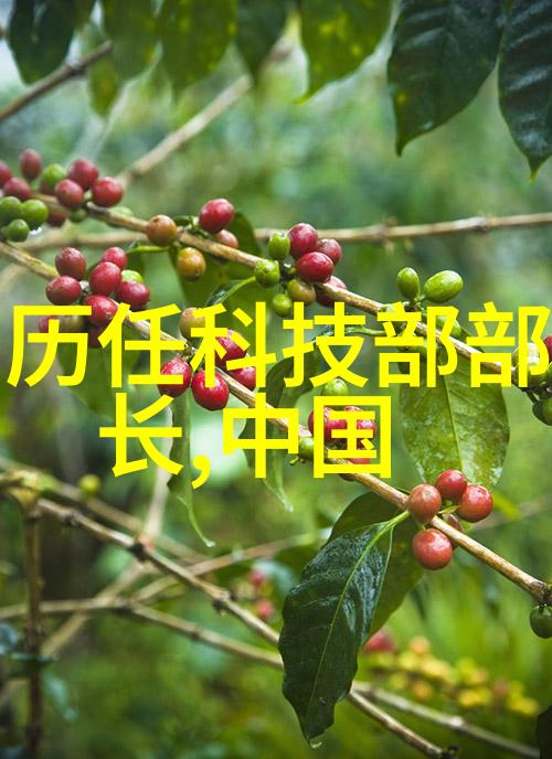 星光轻颤宇宙之谜与心灵的回响