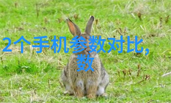 喷漆房设计方案我来教你如何把家里那老旧的墙面变身为时尚画廊