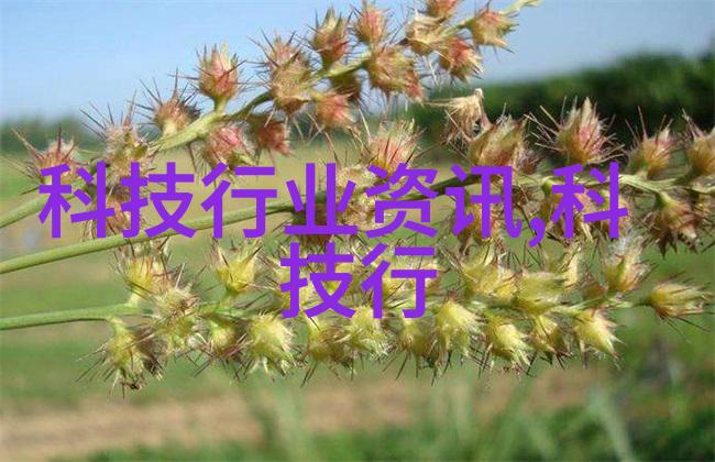 国家信息测评中心我国数据安全的守护者如何确保你的隐私不受侵犯