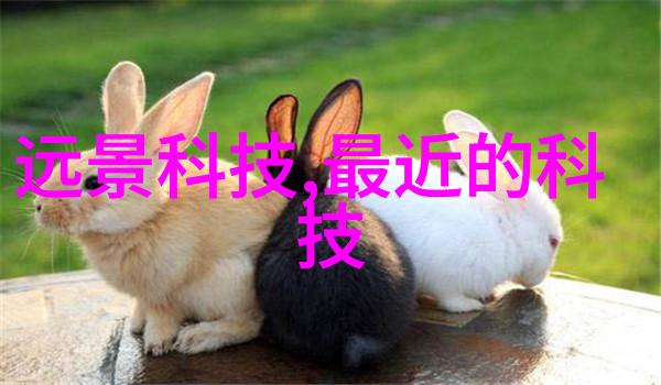 工业纯水EDI设备高效脱盐技术的应用与优势