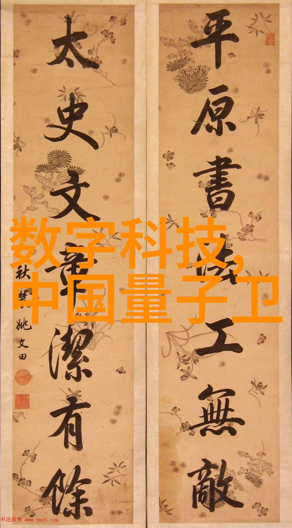 四川省软件测评中心我的代码征程从初学者到行业专家