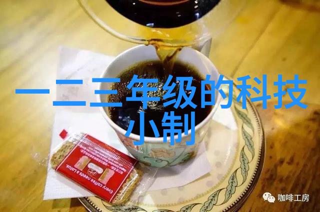 风华录探索我的风流人生小说全集背后的故事与情感