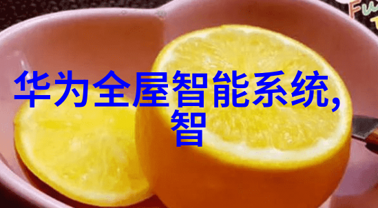 刹车分泵的重要性保障安全行驶的关键部件
