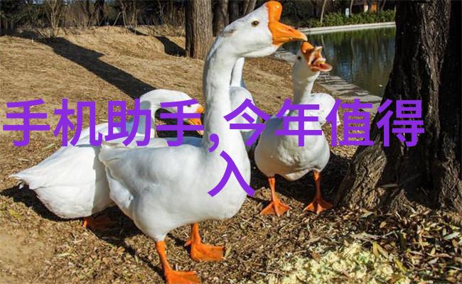 每当我看见她的JK慢慢脱离一段不归的青春