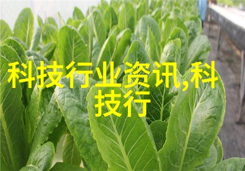 技能培训与就业创造力提升中国建设教育协会的心血宝库