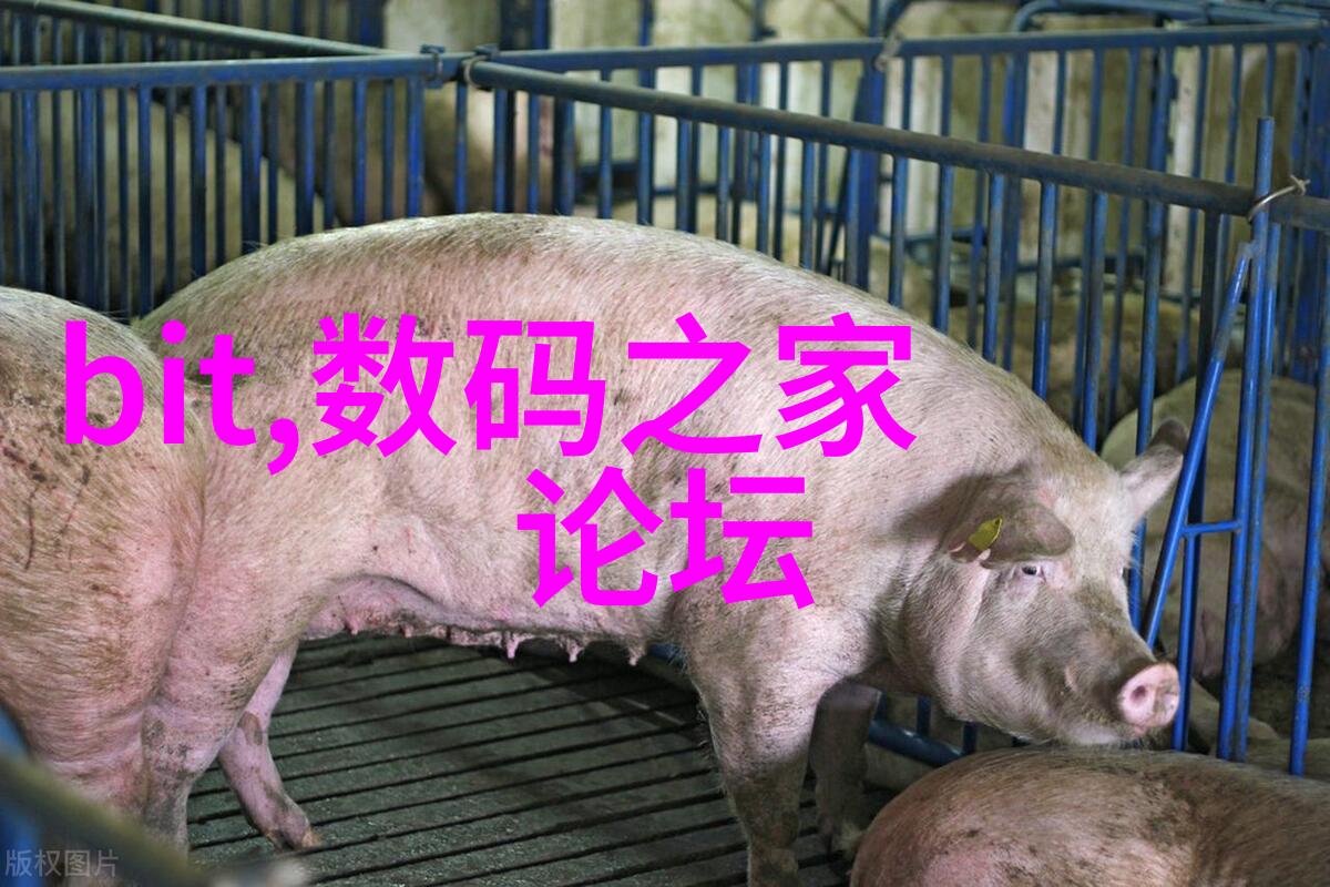 项目策划实效方案的构筑