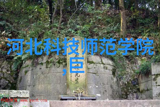 矿石中的光芒探索磷的奇迹与应用