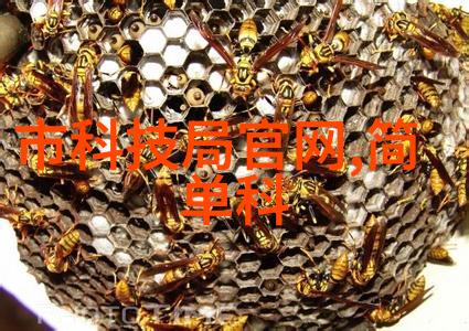 学习如何成为一名优秀的化工机械设计师