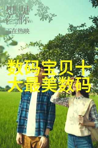 电热回流泵的应用与优化