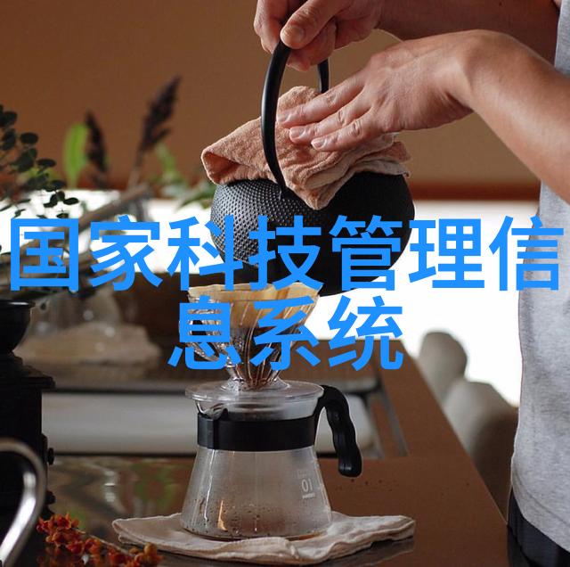 机械化膏药生产系统的未来发展方向